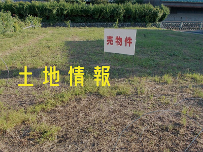 土地情報